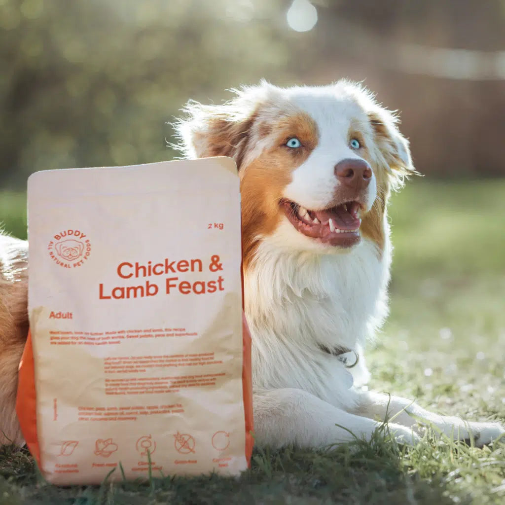 Buddy Chicken + Lamb Feast