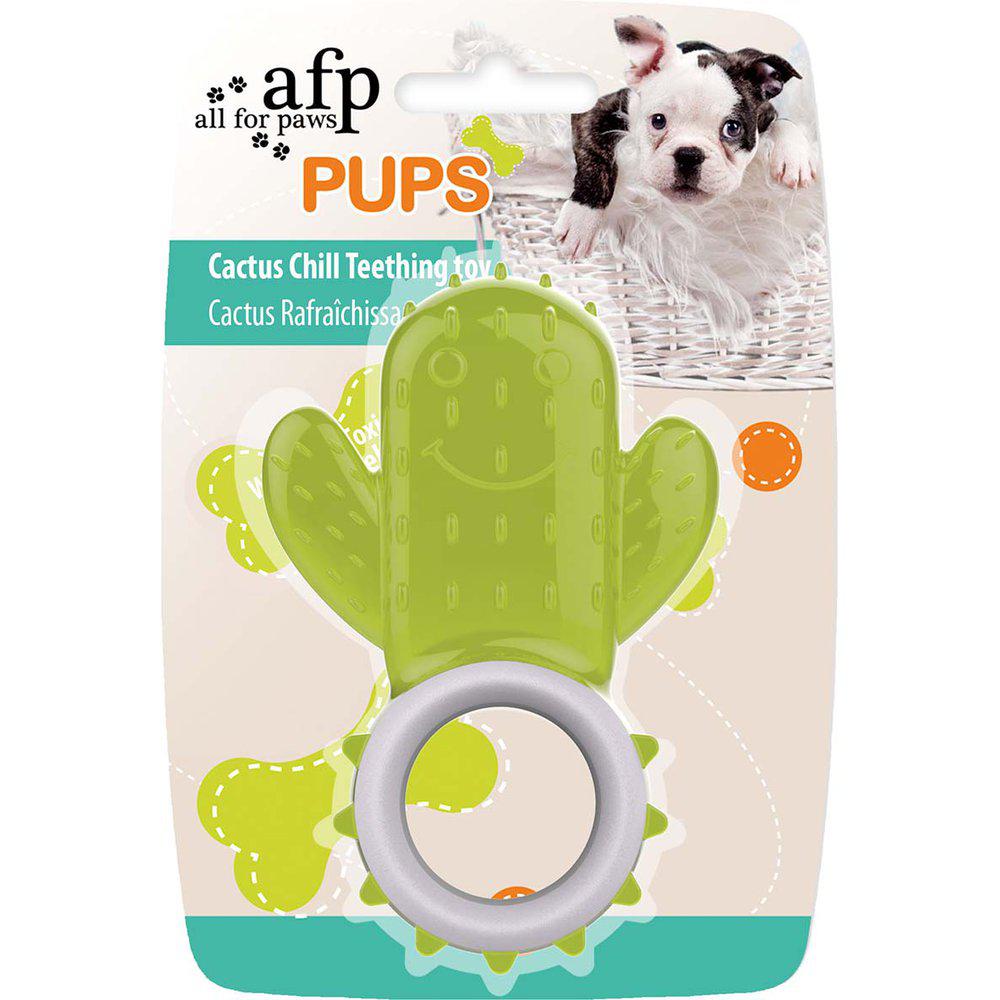 CACTUS CHILL TEETHIG TOY
