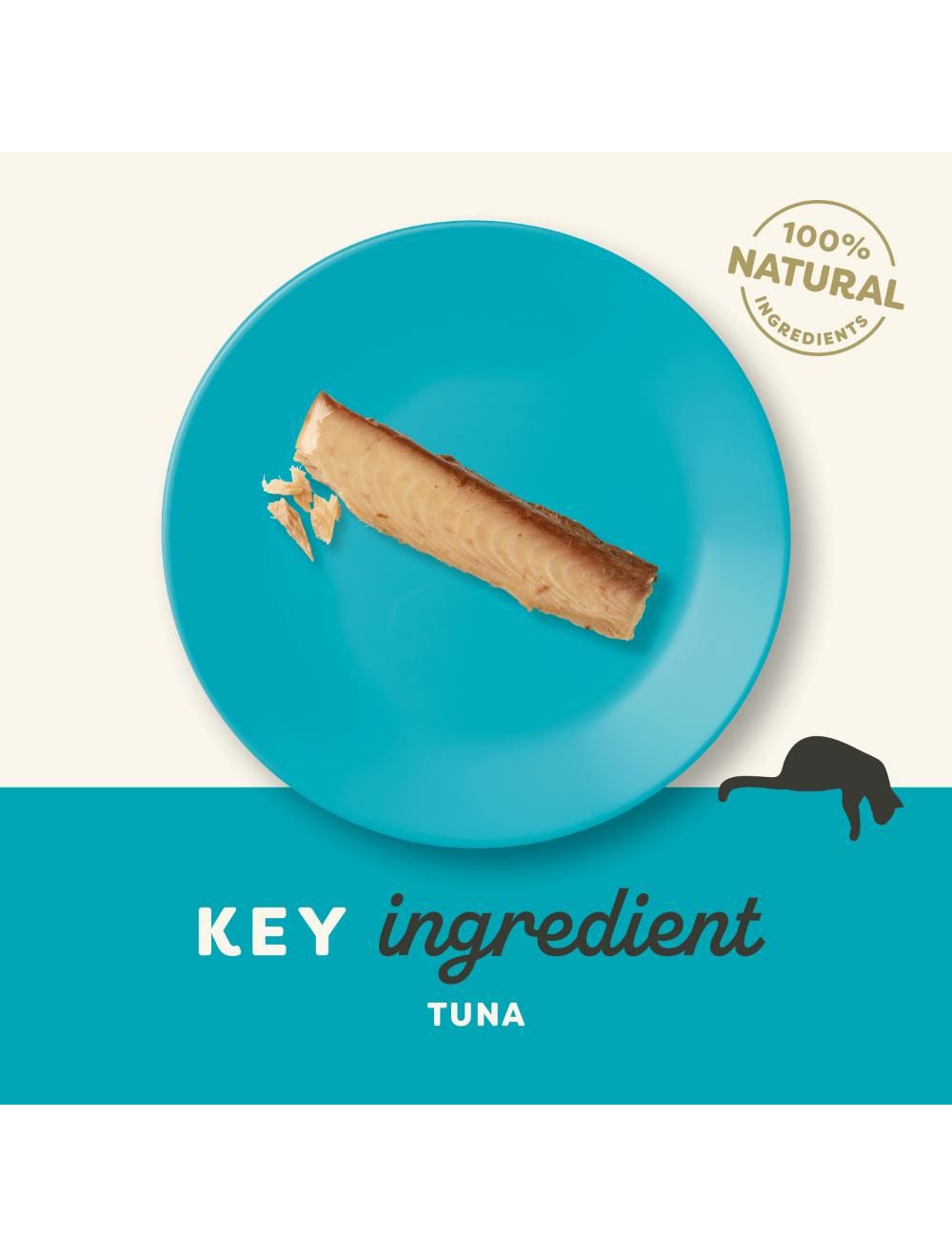 Applaws Hel Tunfilet 30g, Kat