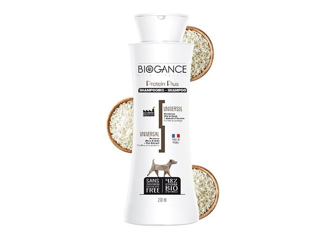 BIOGANCE DOG PROTEIN PLUS SHAMPOO, 250ML