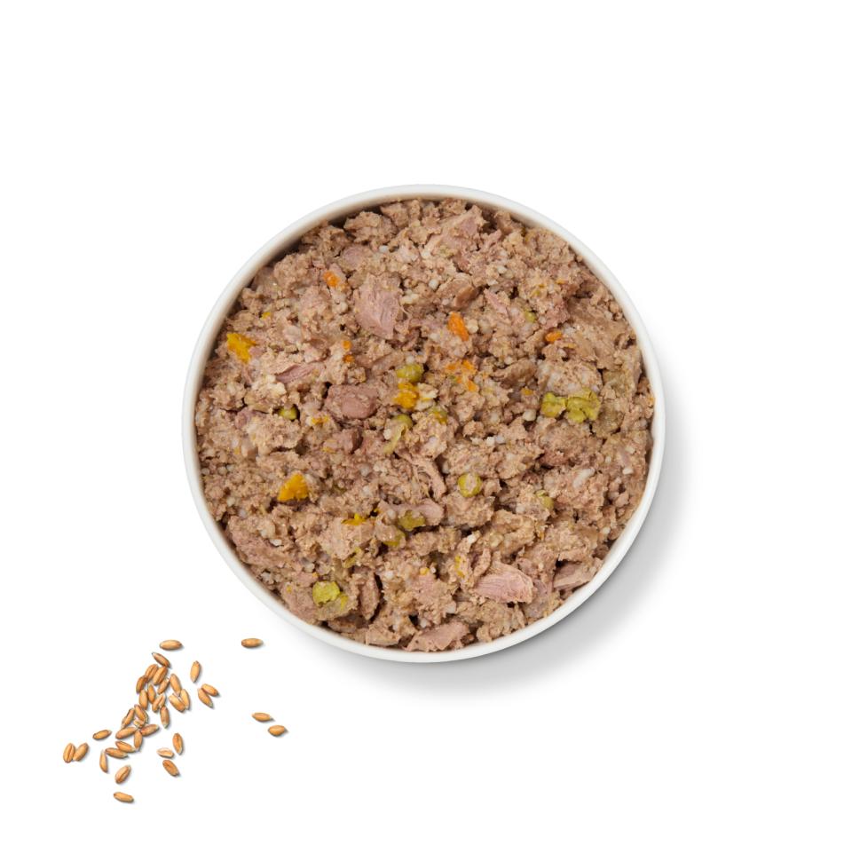 Lilys K Chicken & Turkey Casserole