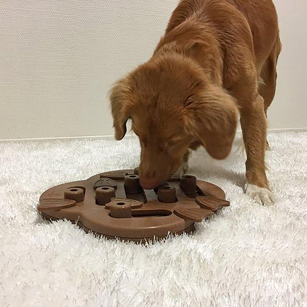 DOG HIDE N` SLIDE KOMPOSIT