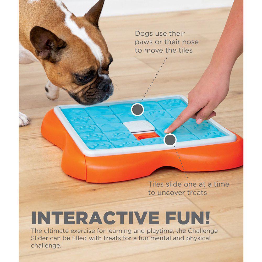 DOG CHALLENGE SLIDER
