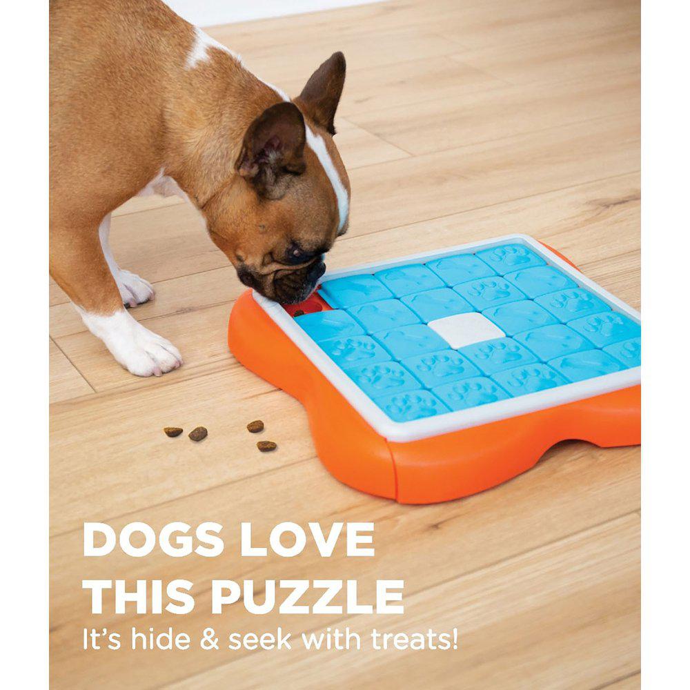 DOG CHALLENGE SLIDER