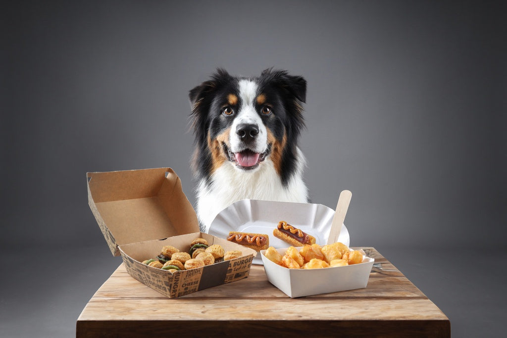 FAST FOOD BOX TAKE AWAY 260G