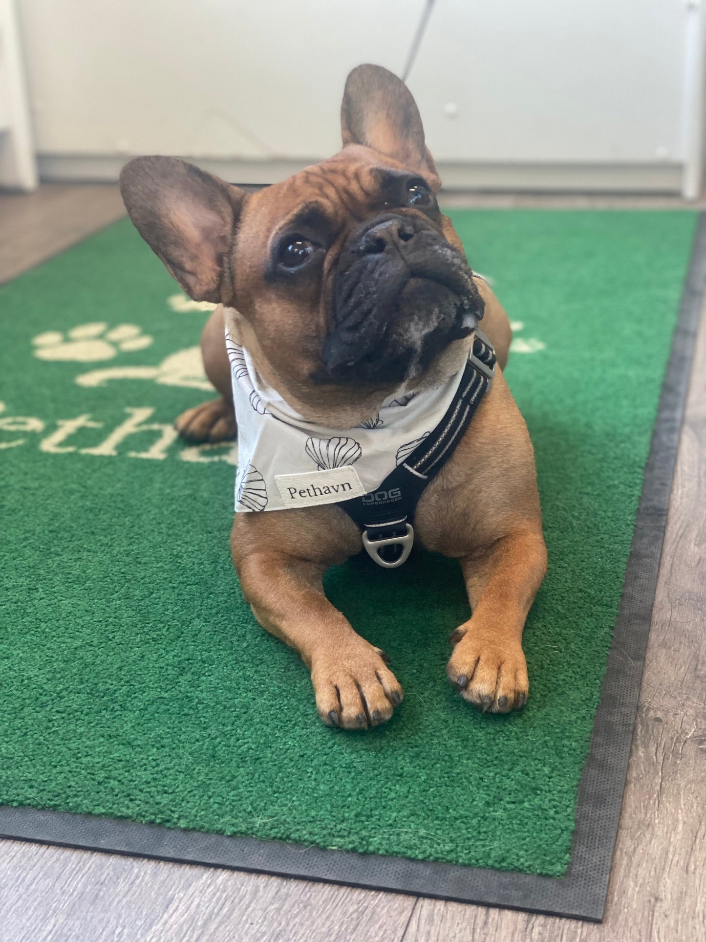 Pethavn Eastern Shore Bandana