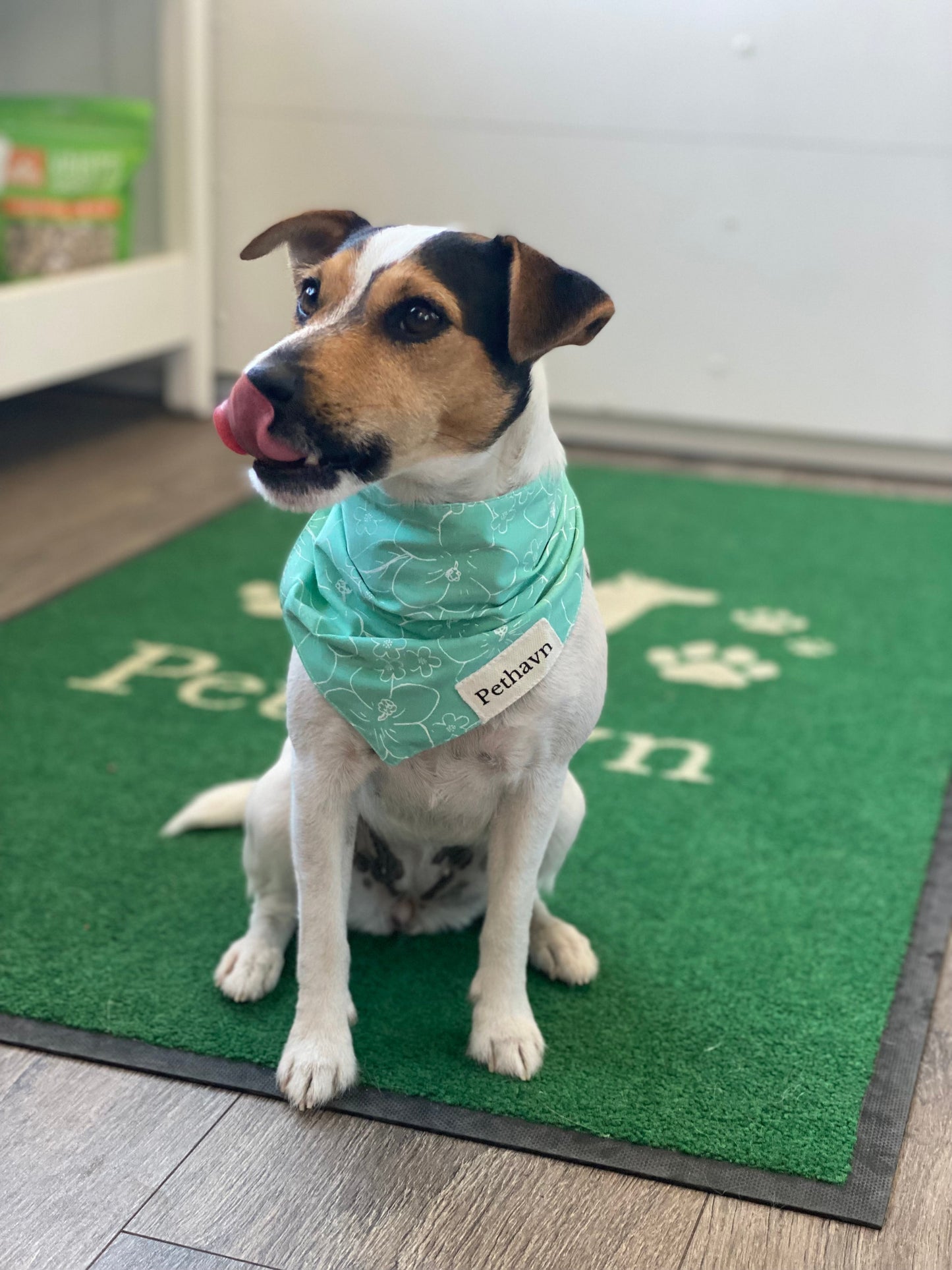 Pethavn Keri Keri Bandana