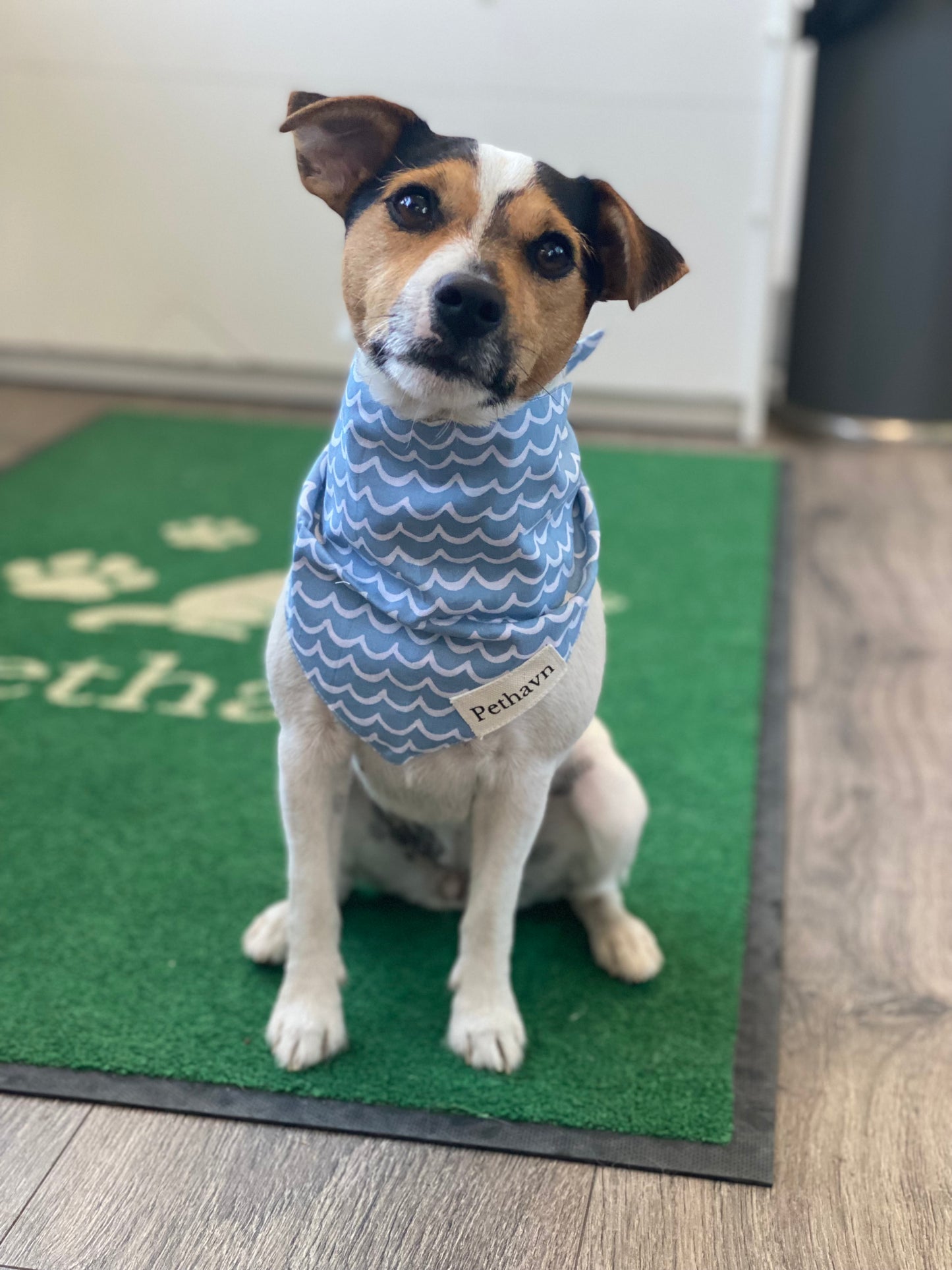 Pethavn Perfect Wave Bandana