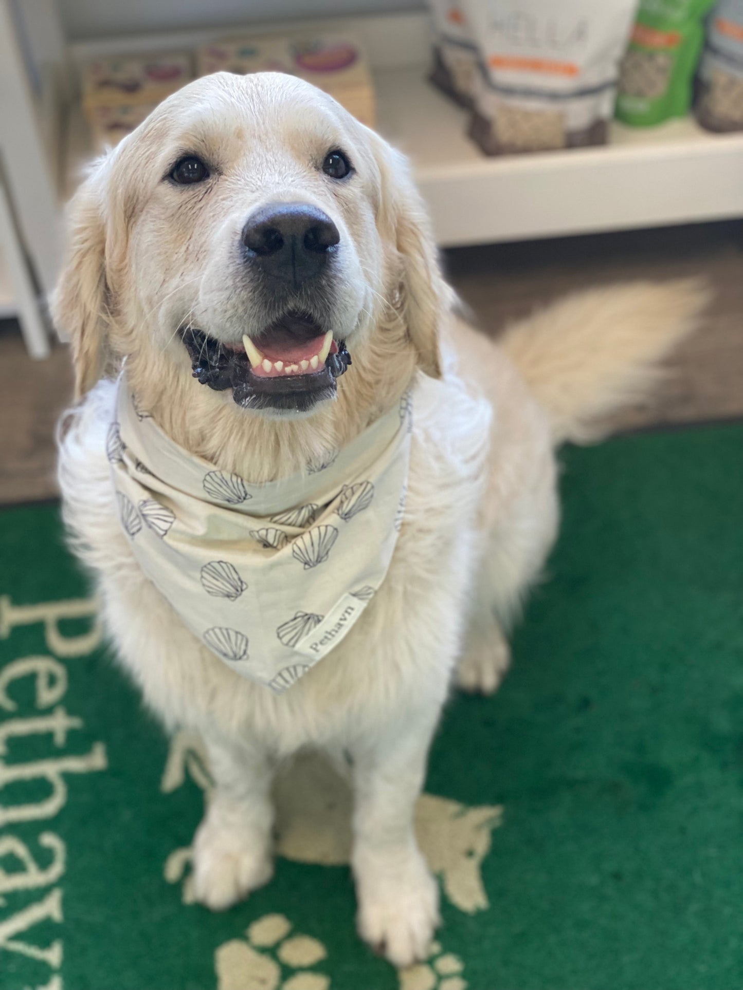 Pethavn Eastern Shore Bandana