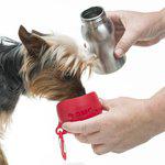 Kong H2o Rostfri Watter Bottle