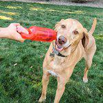 Kong Jumbler Tug Mix