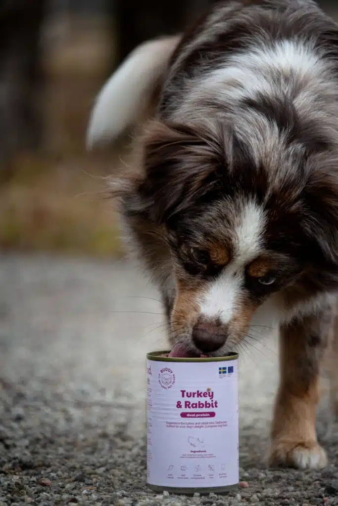 Buddy Turkey & Rabbit