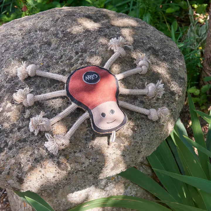 Green & Wilds Spike the Spider