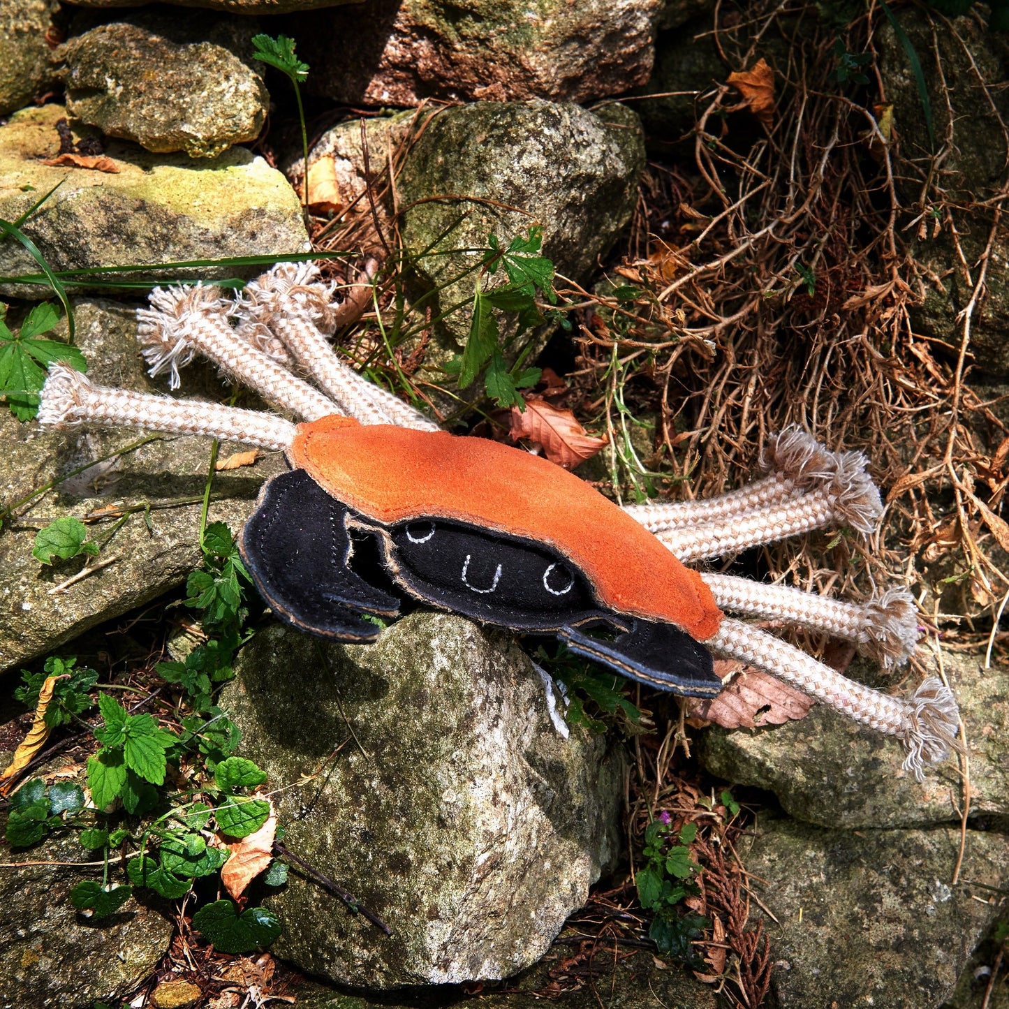 Green & Wilds - Carlos the Crab legetøj