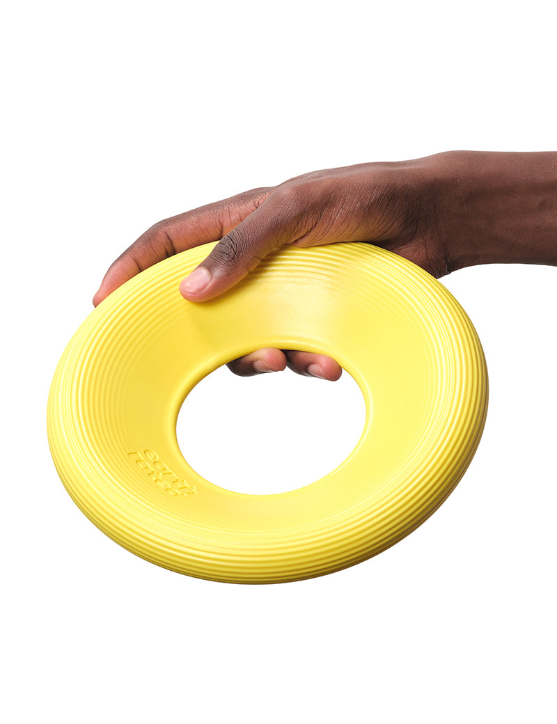 Flyer Toy
