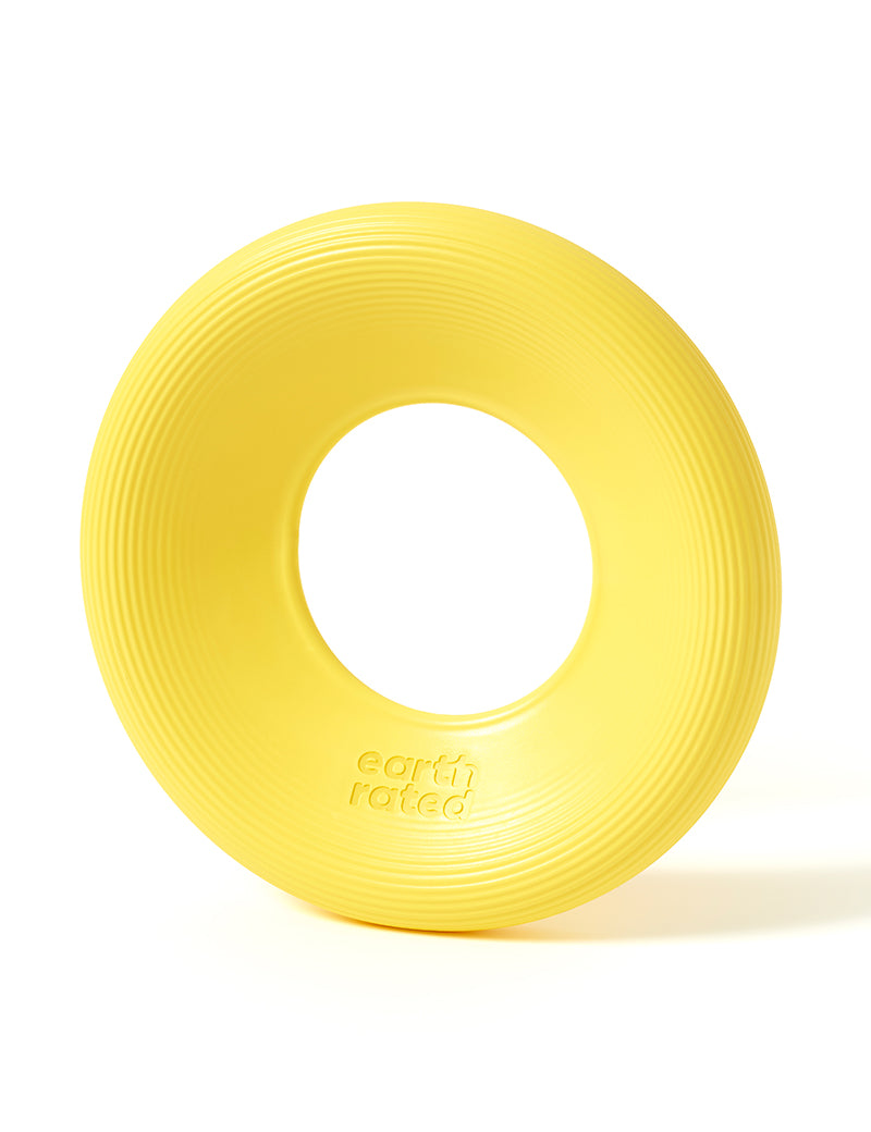 Flyer Toy