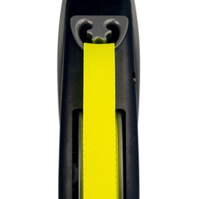 Flexi Leash Giant
