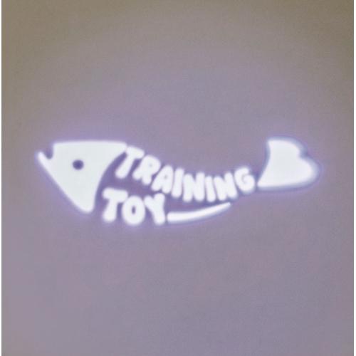 LED pointer Catch the Light