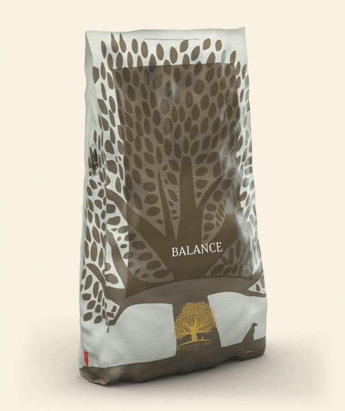 Essential Balance