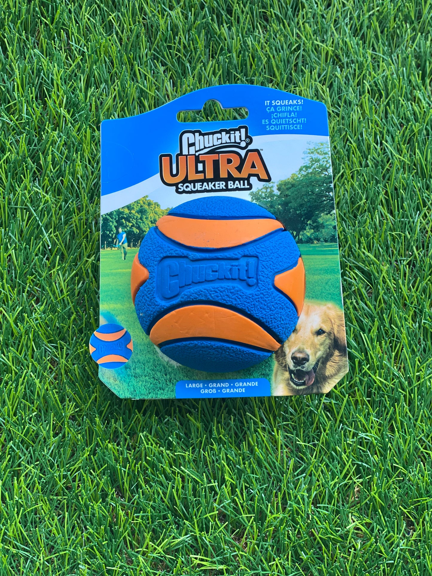 Chuckit Ultra Squeaker Ball