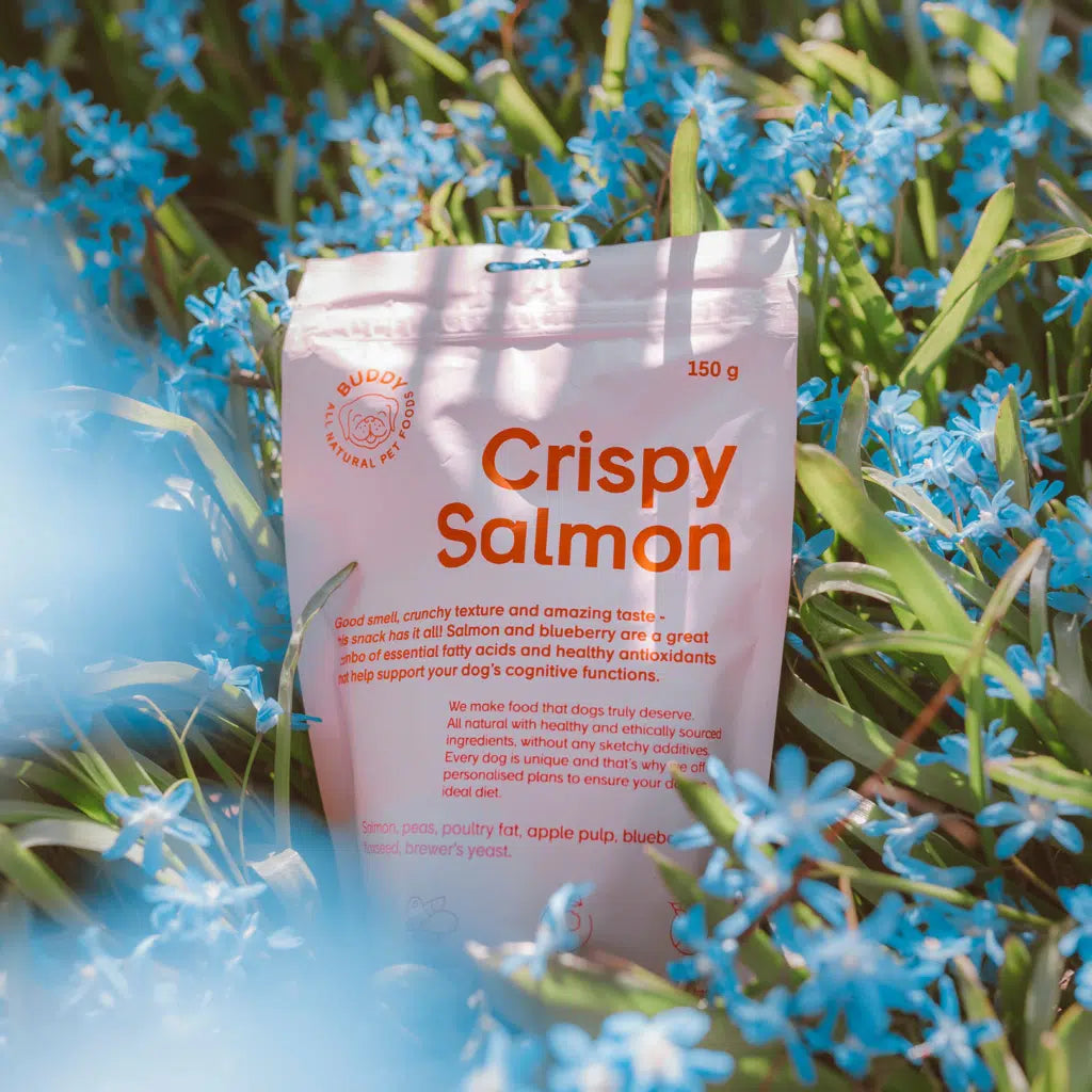 Buddy Crunchy Snack Salmon & Blueberries 150g