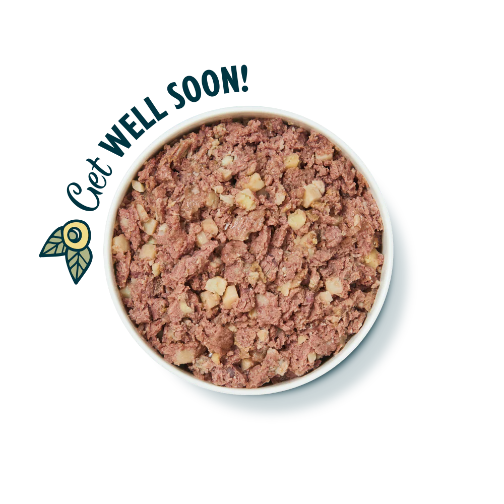 Lily´s KitchenRest Up Recipe