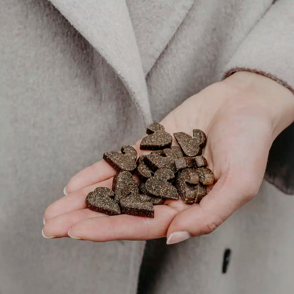 Buddy Semi-moist Snack Duck & Rosemary