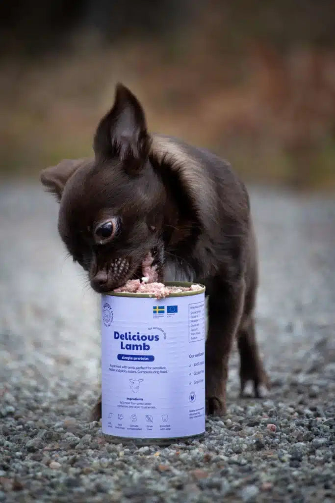 Buddy Delicious Lamb