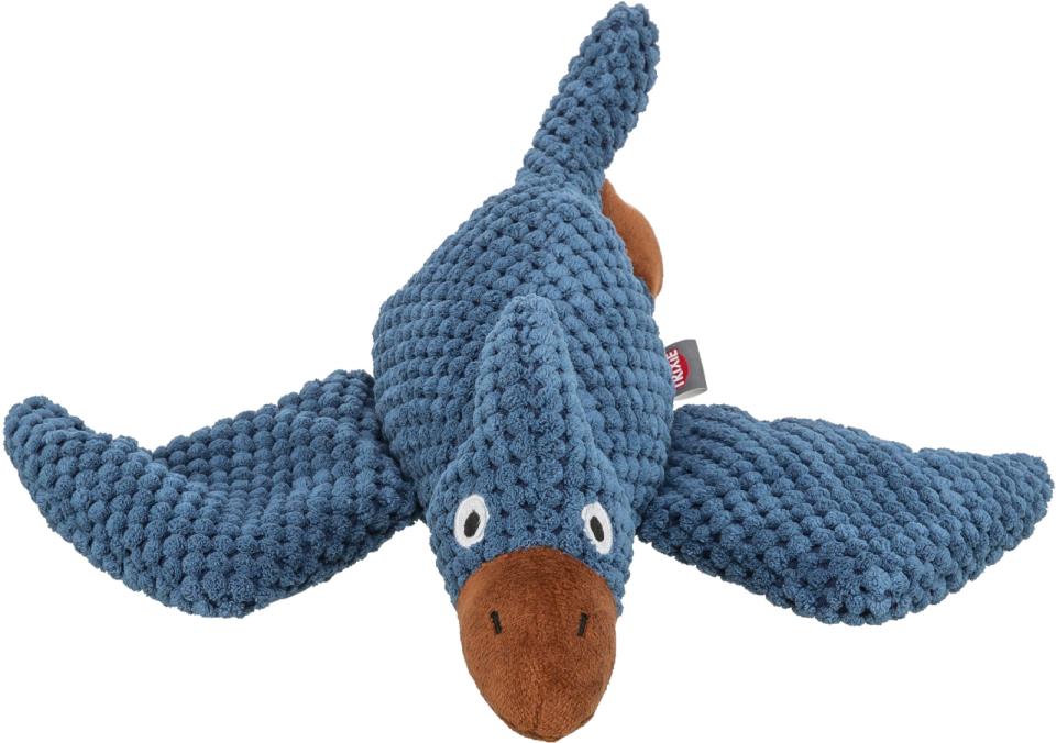 Pterosaurus i ply