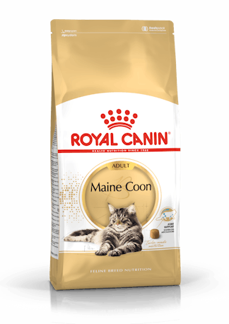 Royal Canin Maine Coon Adult