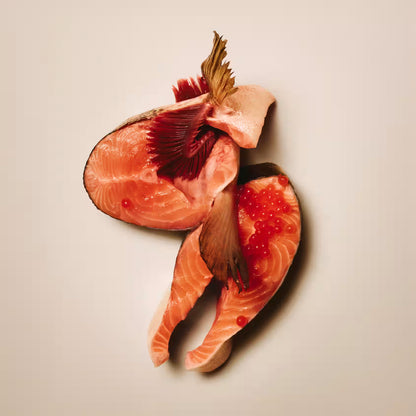 Carnilove Salmon with Thyme Soft Snack for Small Dog Breeds 200g