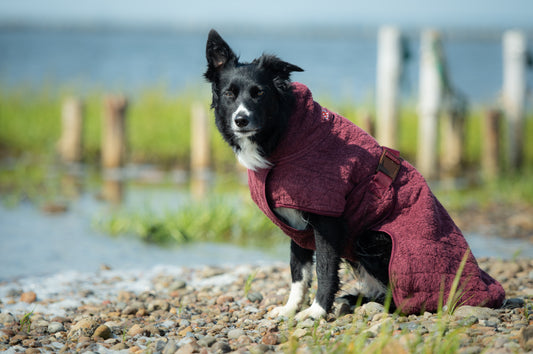 Siccaro SMART / TØRREDRAGT TIL HUNDE