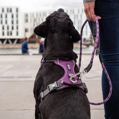 Dog Copenhagen Comfort Walk Pro™ Sele
