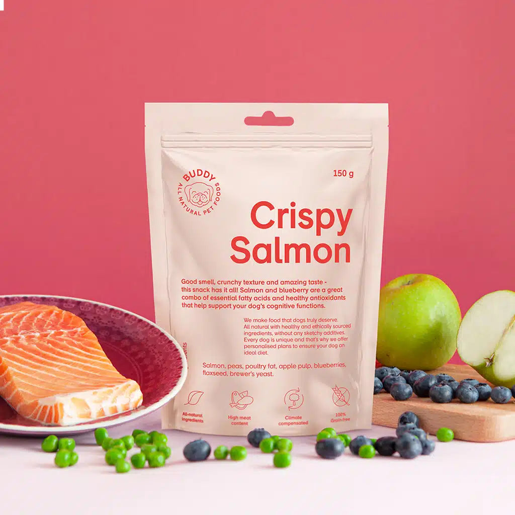 Buddy Crunchy Snack Salmon & Blueberries 150g