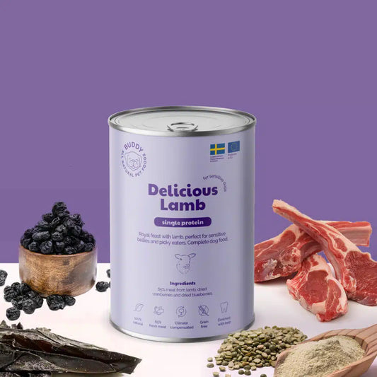 Buddy Delicious Lamb