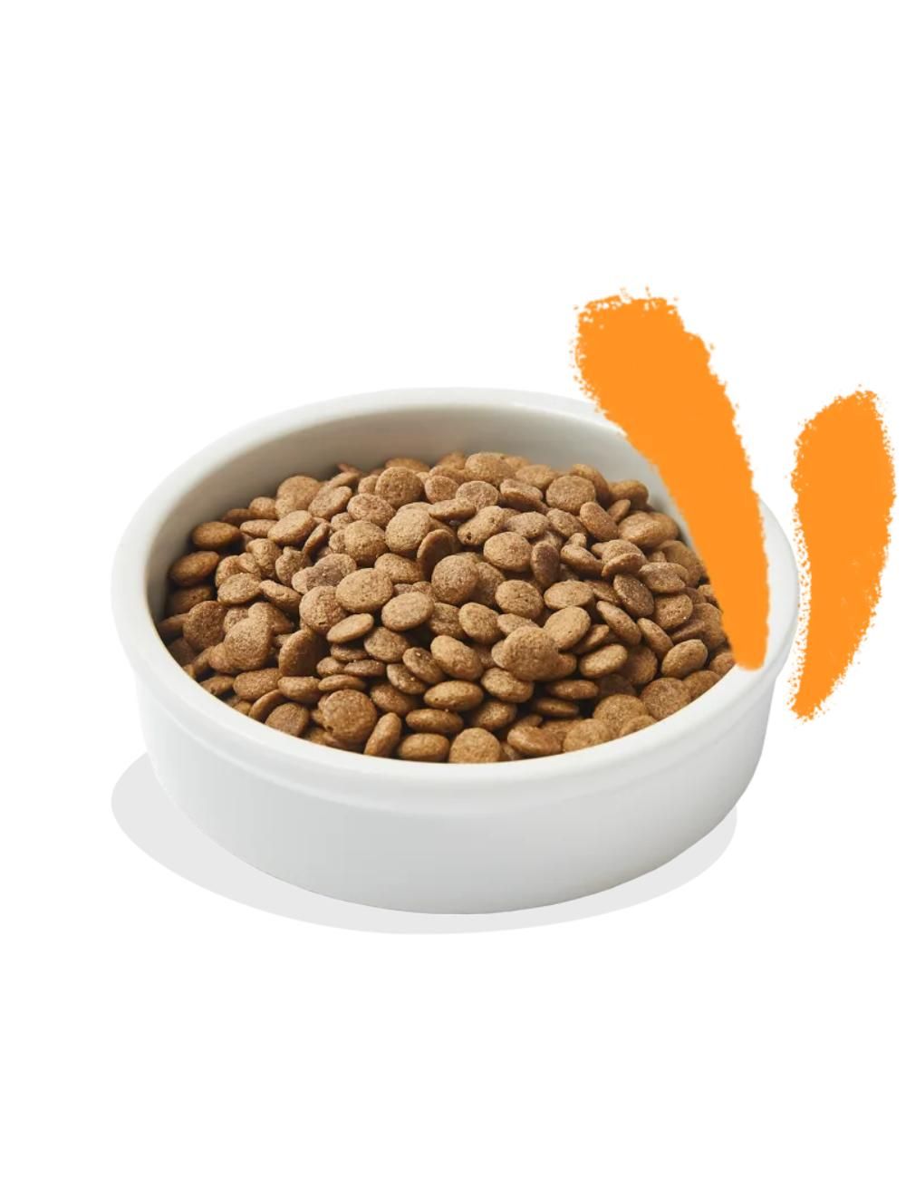 Kat Adult Kylling