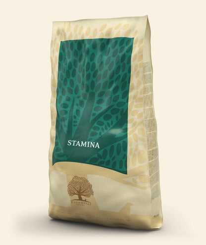 Essential Stamina