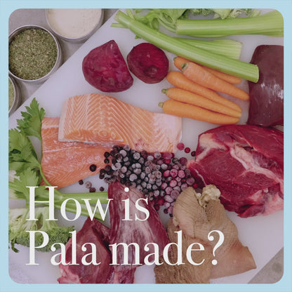 Pala Raw Dog Food - kylling og laks 1kg
